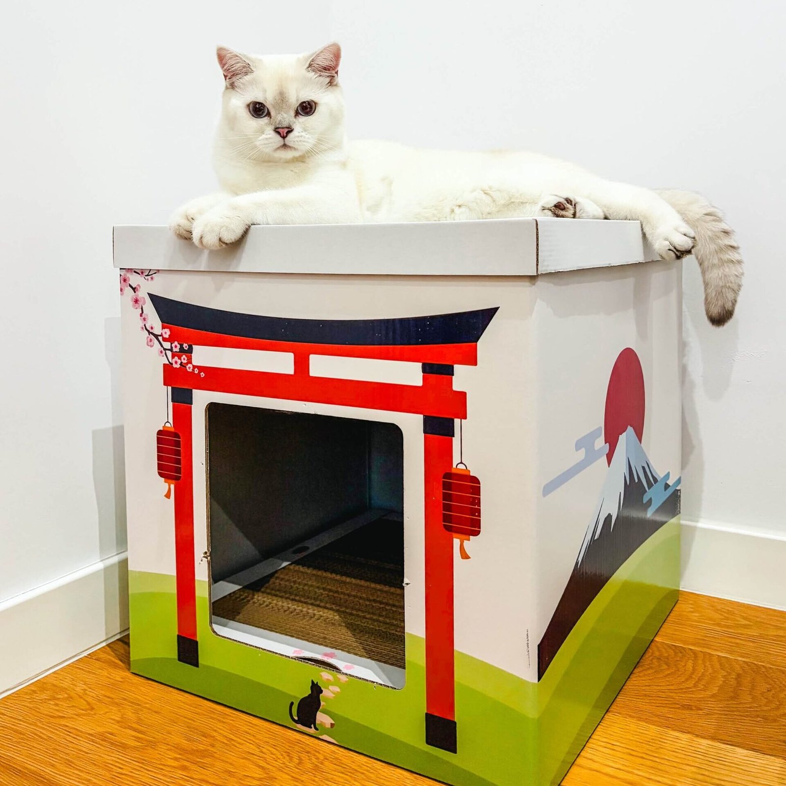 Pisica British shorthair alb pe acoperisul ansamblului japonez casa pisici carton