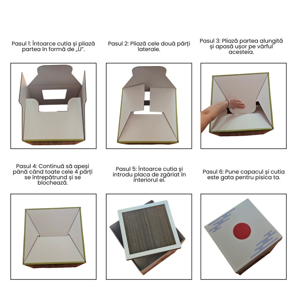 Instructiuni asamblare cutie pisici carton cu placa de zgariat